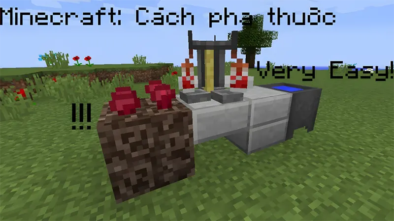 Cách pha chế thuốc ném