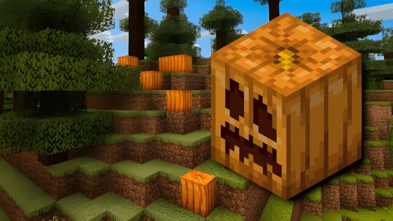 Cách Tìm Bí Ngô Trong Minecraft