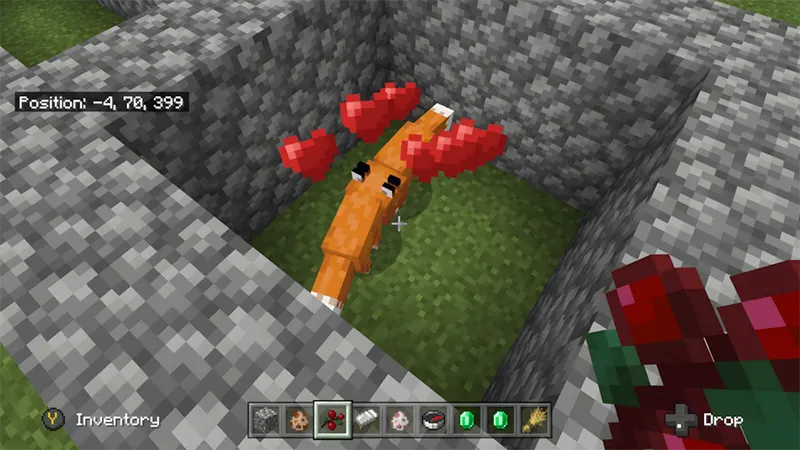 Cáo Trong Minecraft Ăn Gì
