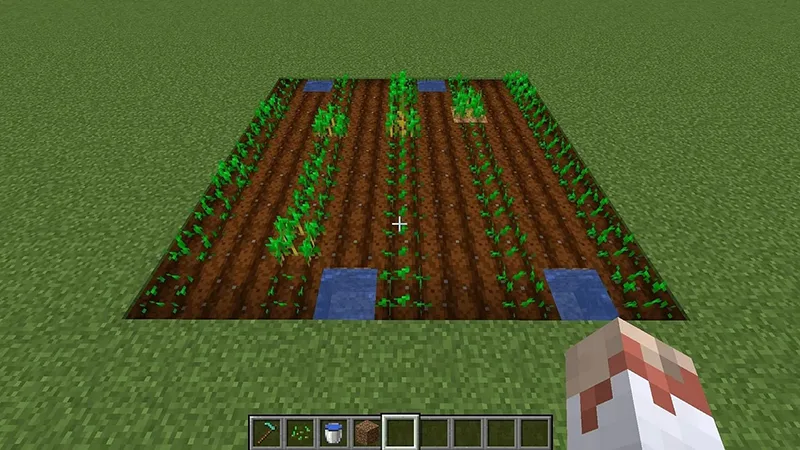Cách Ăn Trong Minecraft