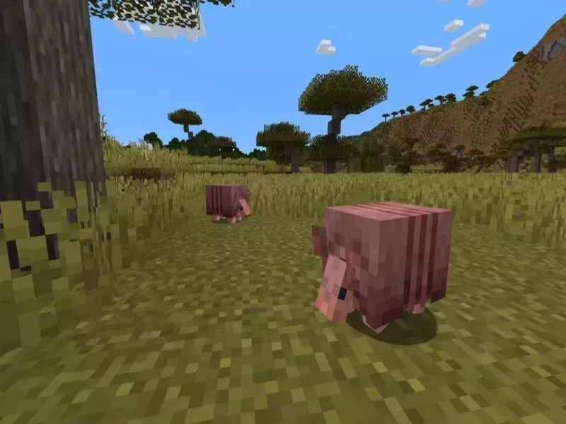 Cách chat minecraft - Chat công khai và chat riêng Cách chat minecraft - Chat công khai và chat riêng