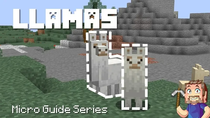 Minecraft pe 1.18.1 - Sửa lỗi sao lưu bản đồ và dữ liệu thế giới