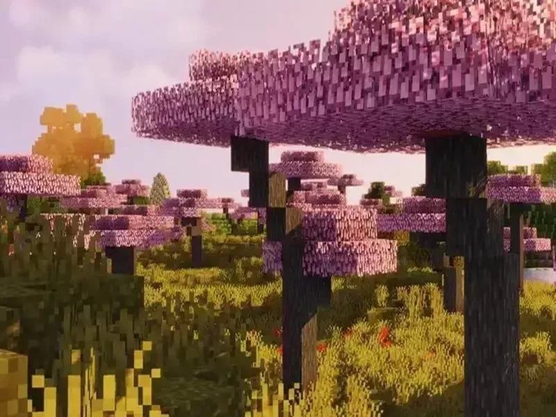 Axolotl minecraft ăn gì - Những vật phẩm axolotl không ăn